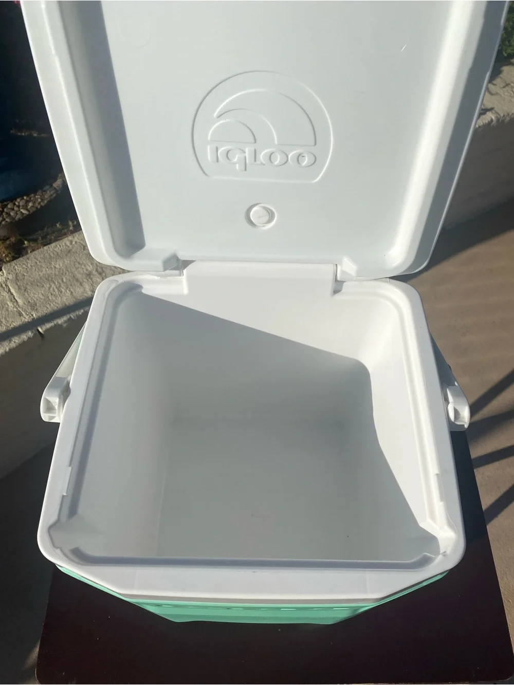 Igloo compact cooler